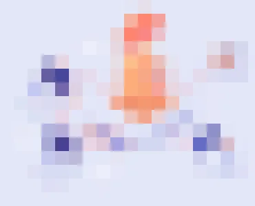 NG体育